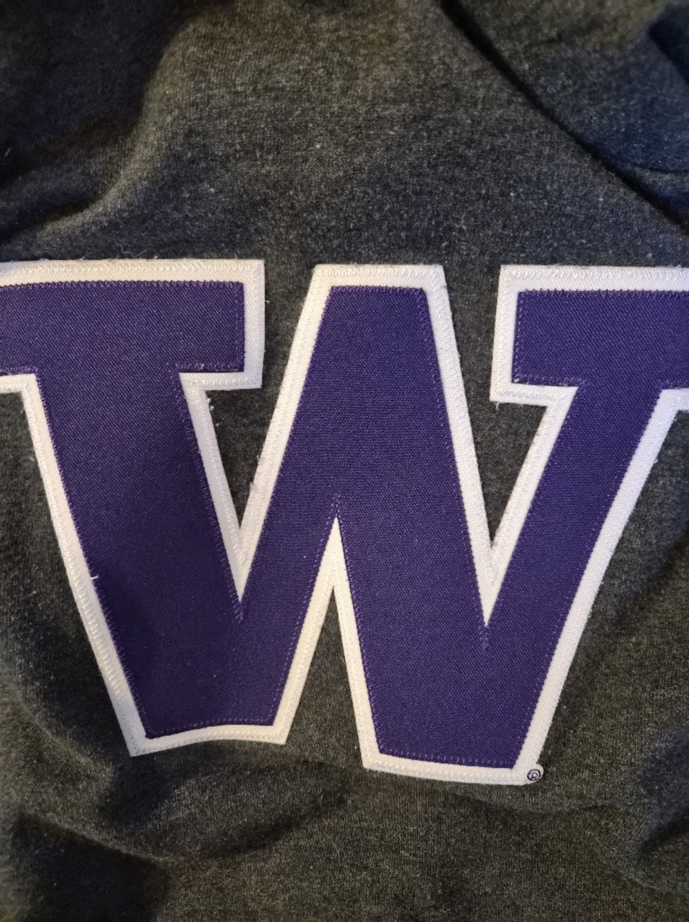 University Of Washington Champion Charcoal Hoodie with W Patch Medium - Picture 6 of 6